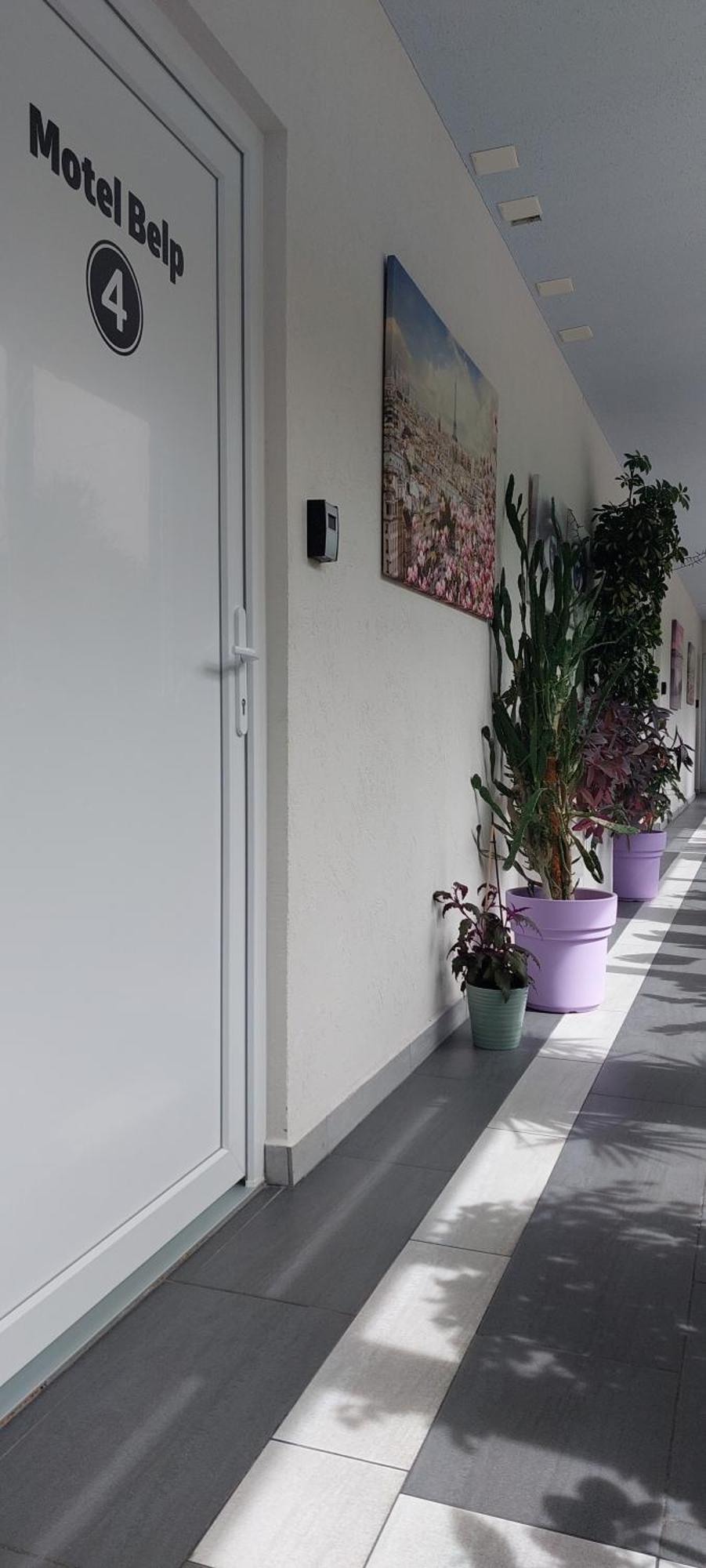 Hotel Belp Bern Airport Free Parking Zewnętrze zdjęcie
