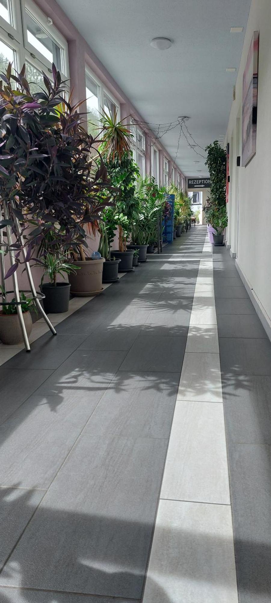 Hotel Belp Bern Airport Free Parking Zewnętrze zdjęcie