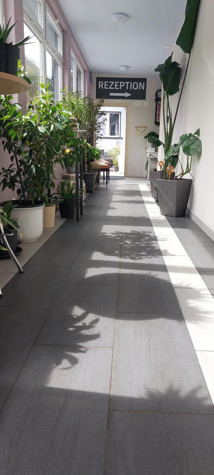 Hotel Belp Bern Airport Free Parking Zewnętrze zdjęcie